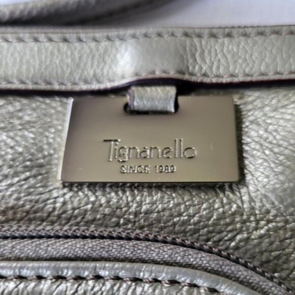 Leather Metallic Tignanello Crossbody Bag - Picture 3 of 11